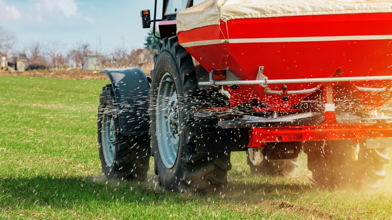 Agricultural tractor fertilizing wheat crop field with NPK