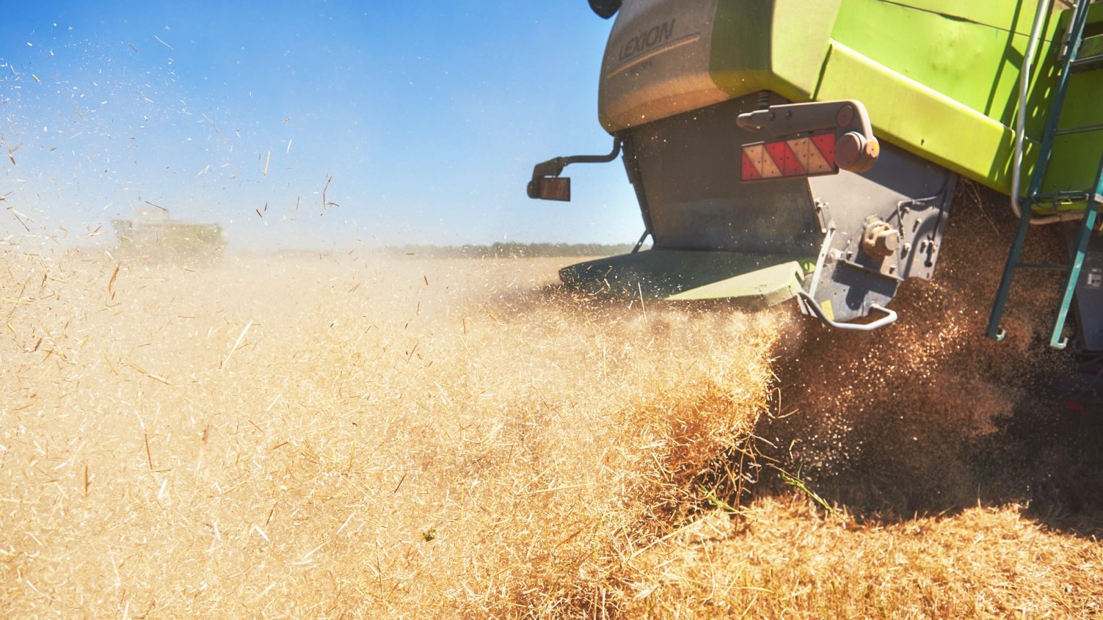 very close up combine harvesting wheat